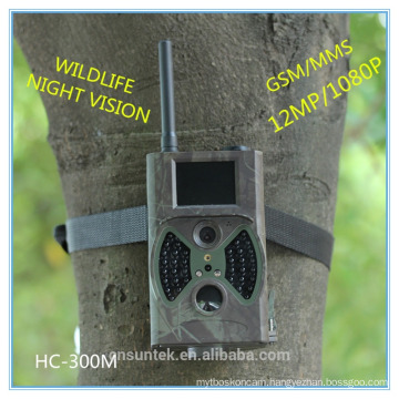 animal surveilance camera